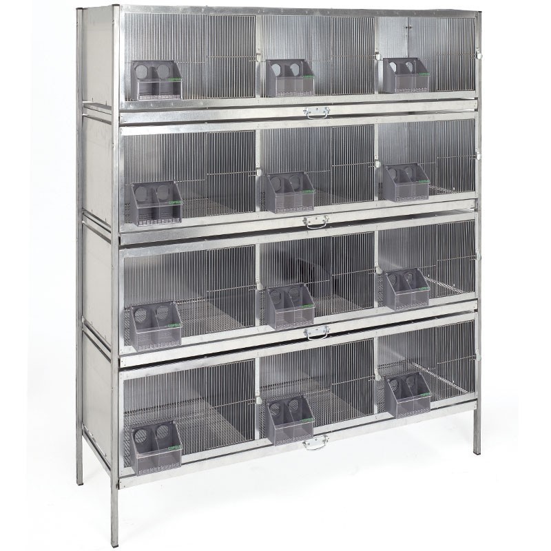 Cage de 12 compartiments pour Pigeons, Oiseaux. Dotée de mangeoires, 165x56x205 cm Cage de 12 compartiments pour Pigeons, Oiseaux. Dotée de mangeoires, 165x56x205 cm
