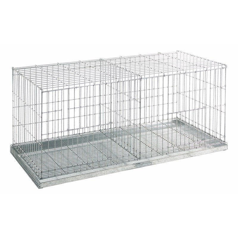 Cage d'exposition de Pigeons, Oiseaux 2 départements, 100x42x47 cm Cage d'exposition de Pigeons, Oiseaux 2 départements, 100x42x47 cm