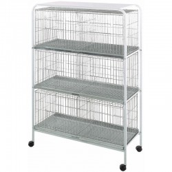 Pigeon display shelf with 6 compartments