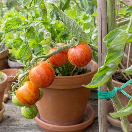 Alambre de Jardín Recubierto de Plástico 100 Metros