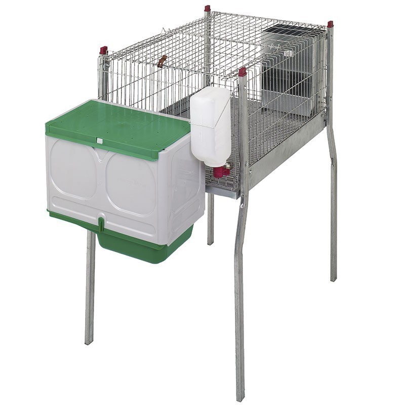 Gabbia per roditori grande nido