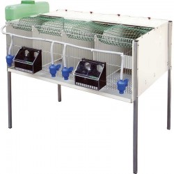 Gaiola para perdiz com 4 compartimentos, 107x77x97 cm