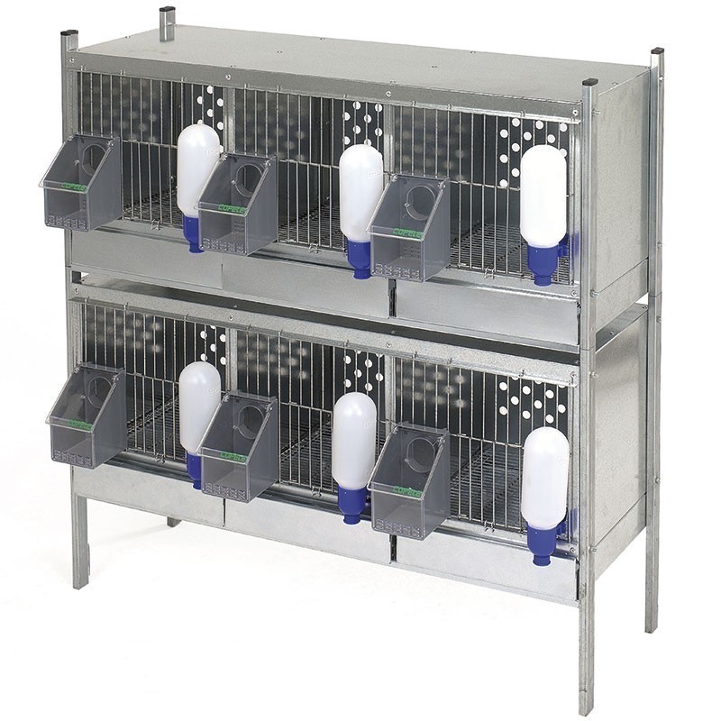 Gabbia per pernici con 6 scomparti