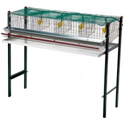 Battery cage for quails with 4 compartments