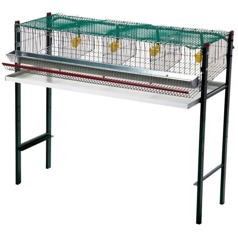 Cage en batterie pour cailles à 4 compartiments