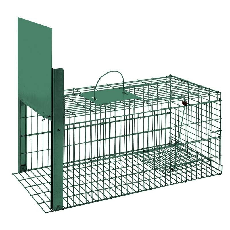 Piège Vivant Réutilisable 75x37x34 cm Piège d'animaux Cage pour Martres,Chats,Renards,Raton Laveur