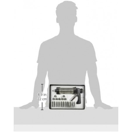 Ensemble de pistolet à pâtisserie, contient 13 disques et 8 douilles avec différents designs, en acier inoxydable