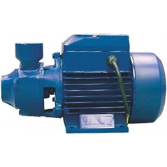 QB-60 single-phase peripheral water pump 0.5 HP