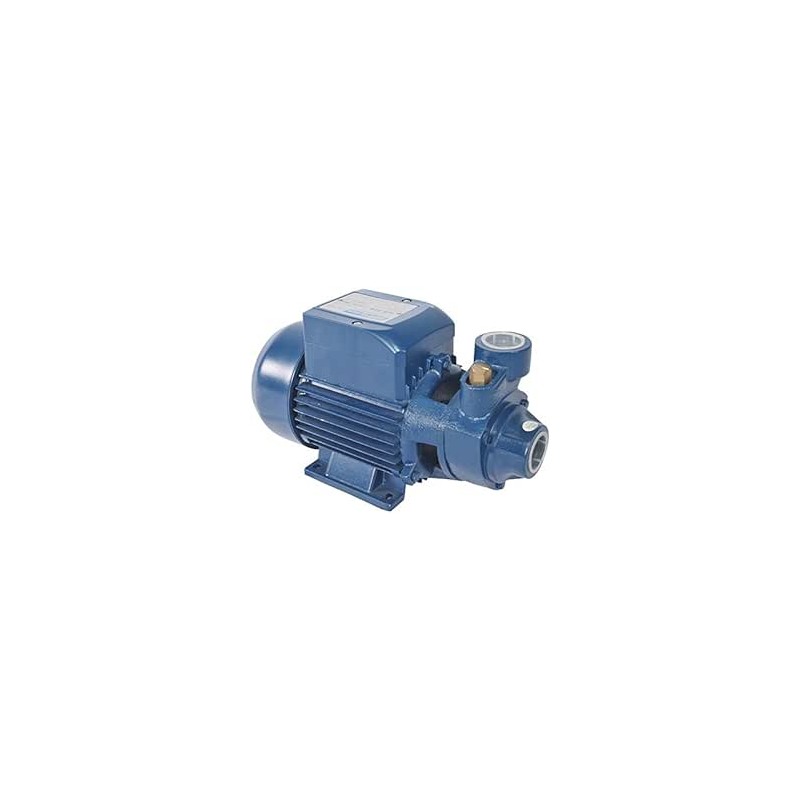 WB-60 Einphasen-Peripheralwasserpumpe 0,5 PS