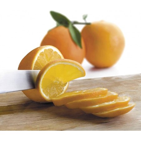 Essiccatore rotante per frutta, verdura, carne, pesce, potenza 250W