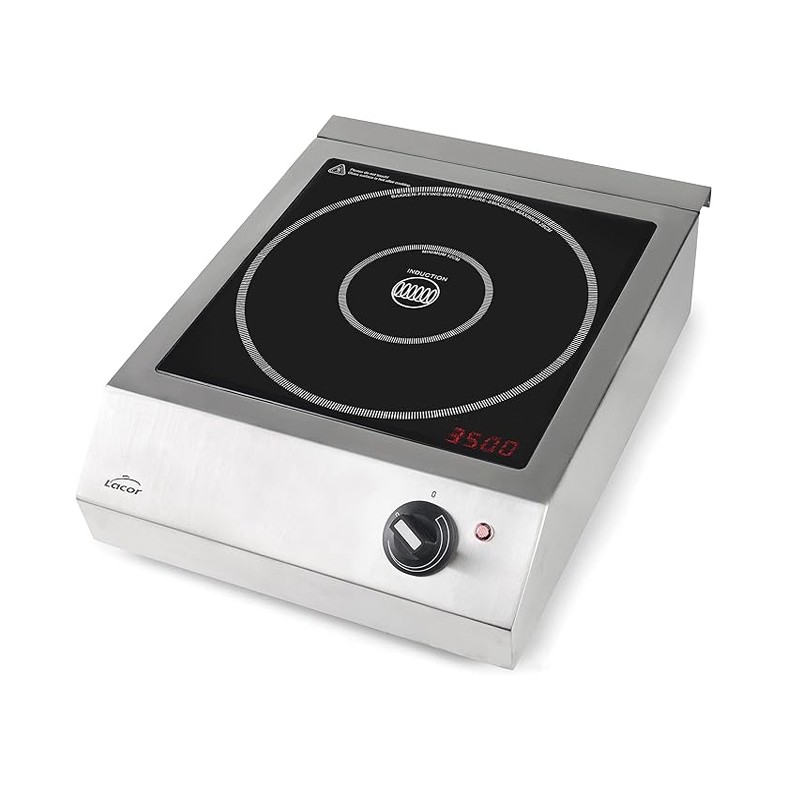 Plaque à induction portable, 10 niveaux de puissance, convient aux diamètres compris entre Ø12 cm et Ø28 cm, 3500 W, acier inoxy