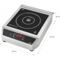 Induction Portable, Commande Tactile, 17 Niveaux de Puissance, Deux Brûleurs 12 et 28 cm, ACIER INOXYDABLE, Noir, 3500W