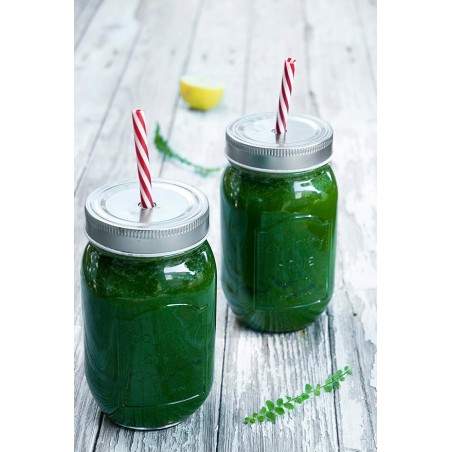 Slow Juicer, Leistung 240 W, Fassungsvermögen 1 Liter, Farbe Grau