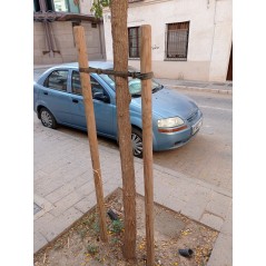 Pack 10 Estacas para Arboles 200 cm Ø 4 cm | Tutores con Punta | Poste para Vallas, Jardin y Plantas | Poste de Madera