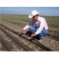 Irrigação por gotejamento de fita plana 16mm, tubo de irrigação por gotejamento a cada 20 cm, 50 metros, tubo agrícola plano com Irrigação por gotejamento de fita plana 16mm, tubo de irrigação por gotejamento a cada 20 cm, 50 metros, tubo agrícola plano com