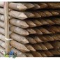 Pack 10 Estacas para Arboles 200 cm Ø 5 cm | Tutores con Punta | Poste para Vallas, Jardin y Plantas | Poste de Madera Pack 10 Estacas para Arboles 200 cm Ø 5 cm | Tutores con Punta | Poste para Vallas, Jardin y Plantas | Poste de Madera