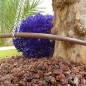 Confezione 300 m tubo 16 mm irrigazione a goccia 33 cm marrone