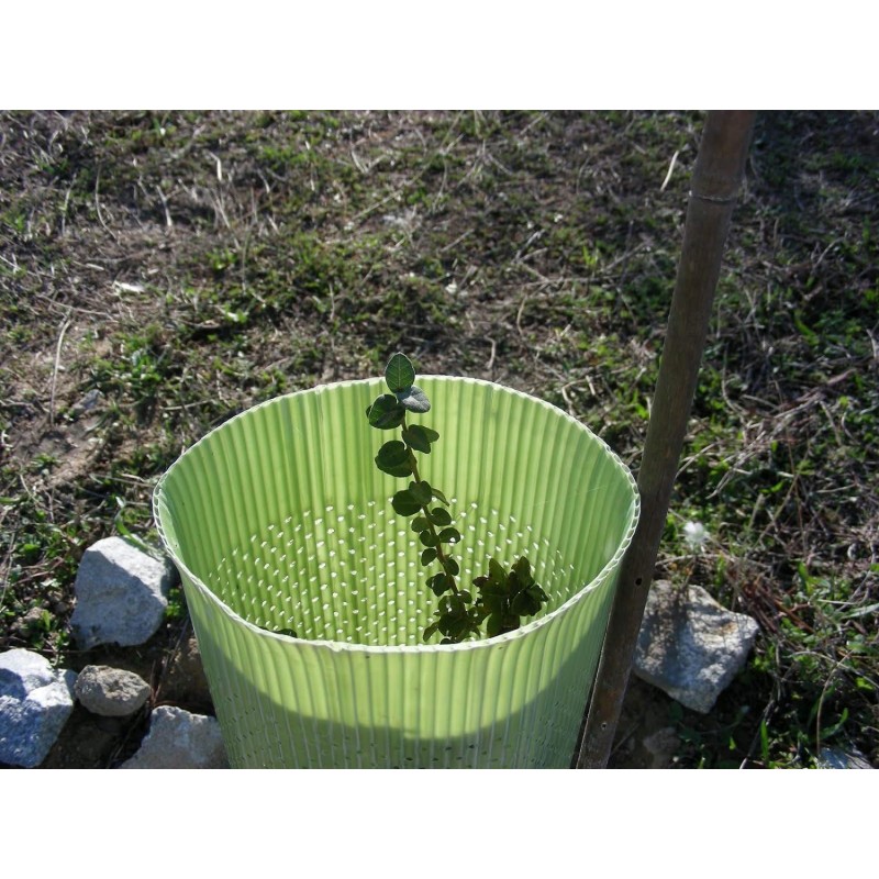 Pack 5 x Tubo protector de árboles 120 cm. Protege tus plantas de