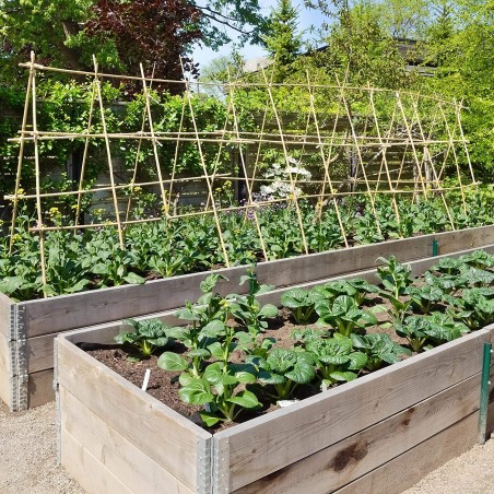 50 x Tutor de bambú 90 cm, diámetro 6-8 mm. Varillas de bambú para Uso agrícola, Sujetar árboles, Plantas y hortalizas