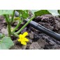 100er-Pack Tropfbewässerungsverbinder 16 mm mit Sicherheitsring | 16-mm-Rohrverbinderhülse | Tropfbewässerungsverbinder für 16-m