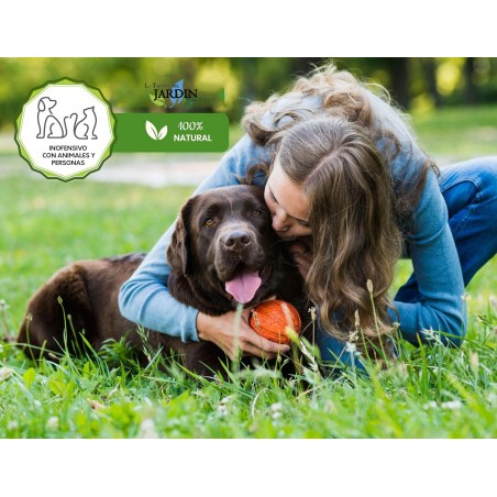 Expanded Clay 45L. Soil for Soils and Plants. Drainage Ball Substrate for Pots, Gardens, and Hydroponic Crops