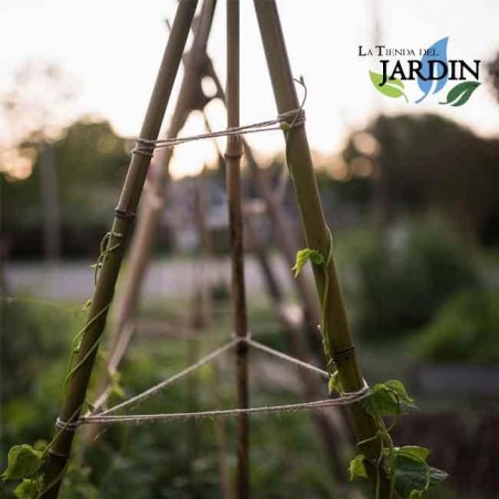 Bala de 200 Tutor de bambu natural 100 cm, 8-10 mm. Varillas de bambu ecologicas para sujetar arboles, plantas y hortalizas