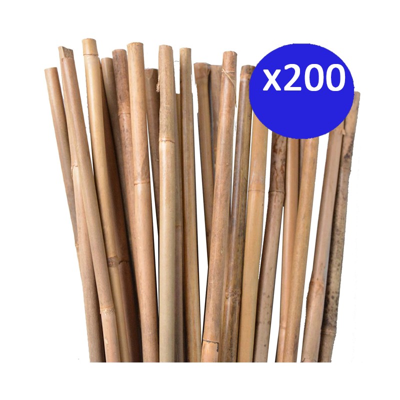 200 x Tutor de bambu natural 100 cm, 8-10 mm. Varillas de bambu ecologicas para sujetar arboles, plantas y hortalizas