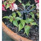 Lot de 25 Goutteur Réglable 0 à 70 l/h, Kits de système d'irrigation goutte à goutte Micro Flow Drip Head Irrigation Lot de 25 Goutteur Réglable 0 à 70 l/h, Kits de système d'irrigation goutte à goutte Micro Flow Drip Head Irrigation