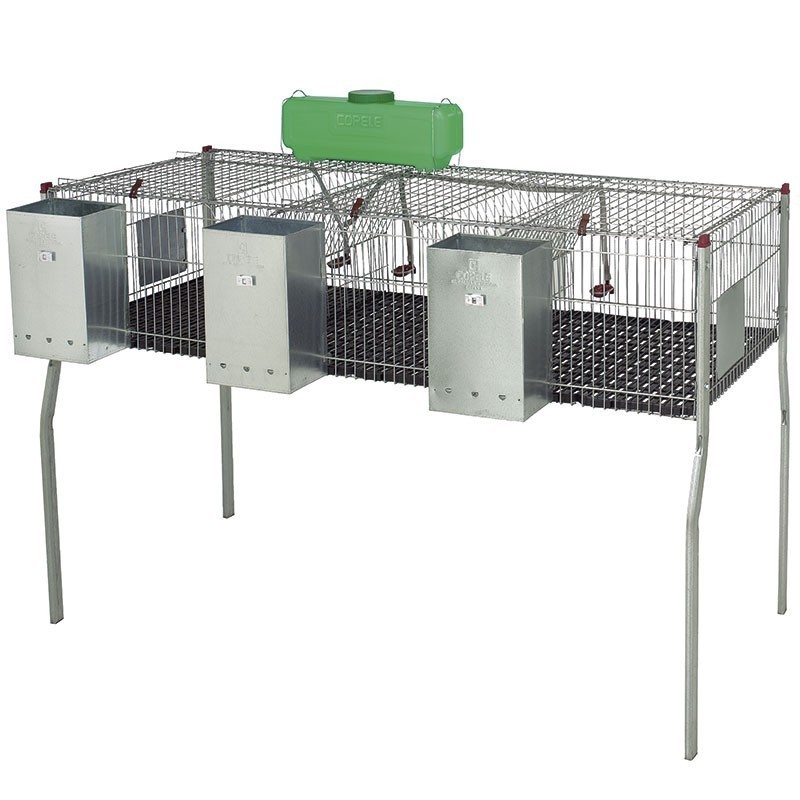 Galvanized rabbit cage with hoppers and 3-compartment waterers, plastic floor, 157x63x98 cm