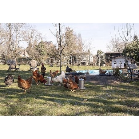 Bebedero para Gallinas Pollos 2L, acero inoxidable, sin BPA, sin bordes peligrosos, colgante, 24,5x19 cm