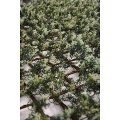 Rankgitter aus Holz, 100 x 200 cm | Rankgitter aus Zypressengeflecht | Rankgitter für drinnen und draußen | Ausziehbares Rankgit