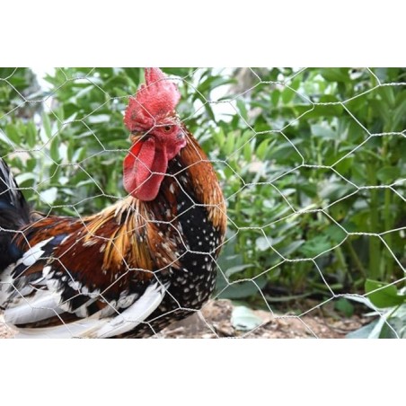 Rete metallica esagonale antitorsione 0,5 x 10 m, quadrati da 19 mm per recinzioni, aziende agricole, animali