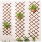 Treillis en bois teinté 40 x 180 cm, pour le jardin Treillis en bois teinté 40 x 180 cm, pour le jardin