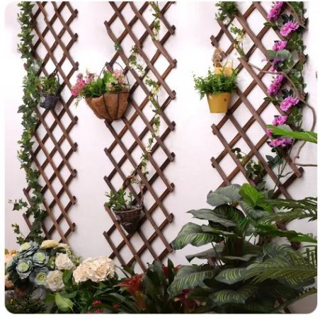 Treillis en bois teinté, 60 x 180 cm, pour plantes grimpantes. Idéal pour les jardins, les clôtures, la décoration et le support