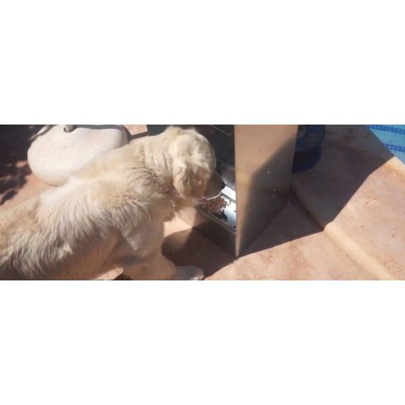 Mangiatoia automatica per cani, gatti e animali domestici, 20 litri per l'alimentazione, mangiatoia zincata, 31 x 26 x 61 cm