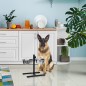Double Feeder and Waterer for Dogs and Cats | 2 Stainless Steel Bowls (29 cm) | Stable and Adjustable Stand