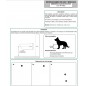 Green plastic drinker for dogs 18x22x10 cm