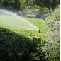Lot de 10 Arroseur Hunter PGJ-04. Turbine portée de 4,3 à 11,6 mètres. Filetage femelle 1/2'' Arrosage professionnel de jardin Lot de 10 Arroseur Hunter PGJ-04. Turbine portée de 4,3 à 11,6 mètres. Filetage femelle 1/2'' Arrosage professionnel de jardin