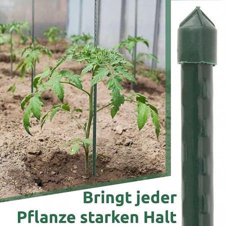 25 x 60 cm laminated bamboo support posts, diameter 6-8 cm. Used in agriculture, plantations, and floriculture.