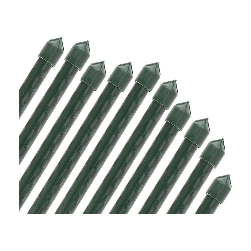 Pack 10 Tutor de Bambú plastificado 150 cm (12-14mm), Varillas para Plantas y Árboles, Tutores para Tomates y Plantas trepadoras Pack 10 Tutor de Bambú plastificado 150 cm (12-14mm), Varillas para Plantas y Árboles, Tutores para Tomates y Plantas trepadoras