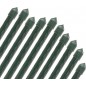Pack 10 Tutor de Bambú plastificado 150 cm (12-14mm), Varillas para Plantas y Árboles, Tutores para Tomates y Plantas trepadoras Pack 10 Tutor de Bambú plastificado 150 cm (12-14mm), Varillas para Plantas y Árboles, Tutores para Tomates y Plantas trepadoras