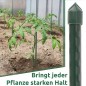 Pack 10 Tutor de Bambú plastificado 150 cm (12-14mm), Varillas para Plantas y Árboles, Tutores para Tomates y Plantas trepadoras Pack 10 Tutor de Bambú plastificado 150 cm (12-14mm), Varillas para Plantas y Árboles, Tutores para Tomates y Plantas trepadoras