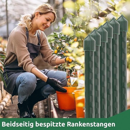 100 x Poste Tutor de bambu plastificado 150 cm, diametro 12-14 cm. Utilizado en agricultura, plantaciones y floricultura