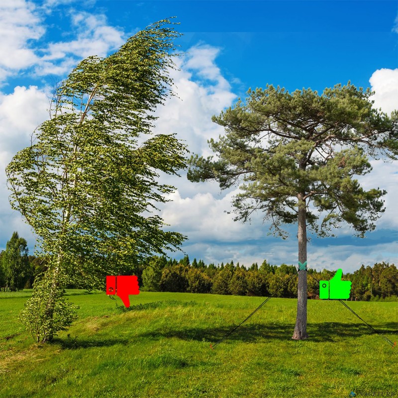 Flangia Tutore Per Alberi In Gomma Morbida (2 Pezzi) – Cinghia Regolabile Per Raddrizzare Tronchi, Protegge La Corteccia