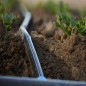 Pacote com 100 cotovelos de fita para irrigação por gotejamento de 16 mm | Mangas de cotovelo para conectar fitas de irrigação | Pacote com 100 cotovelos de fita para irrigação por gotejamento de 16 mm | Mangas de cotovelo para conectar fitas de irrigação |