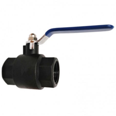 Antifreeze plumbing ball valve 3/4'' Black polypropylene
