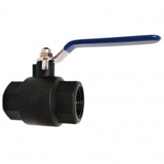 Pack of 2 1'' Anti-ice Plumbing Ball Valves, Black Polypropylene, Metal Handle