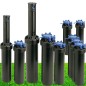 Set di 10 Irrigatore Rain Bird 3504-PC. Turbina con Portata da 4,6 a 10,7 m. Filettatura Femmina 1/2'' Irrigazione Professionale
