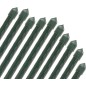 Lot de 10 Tuteur en bambou plastifié 180 cm, diamètre de bambou 14-16 mm. Tiges de bambou écologiques pour attacher les arbres Lot de 10 Tuteur en bambou plastifié 180 cm, diamètre de bambou 14-16 mm. Tiges de bambou écologiques pour attacher les arbres