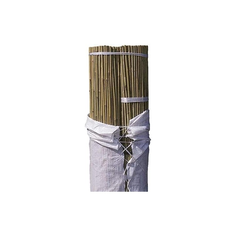 100 x Tutor de bambu natural 150 cm, 10-12 mm. Varillas de bambu ecologicas para sujetar arboles, plantas y hortalizas